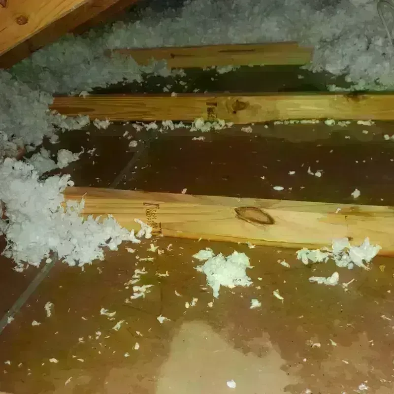 Attic Water Damage in South Park, WY