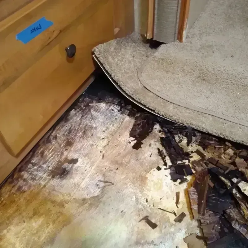 Wood Floor Water Damage in South Park, WY